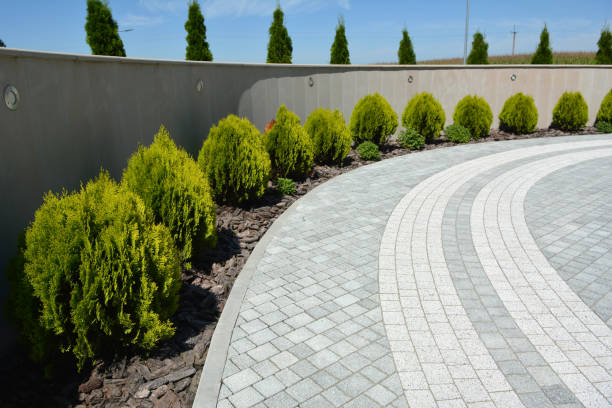 Best Local Driveway Pavers  in Dunnigan, CA